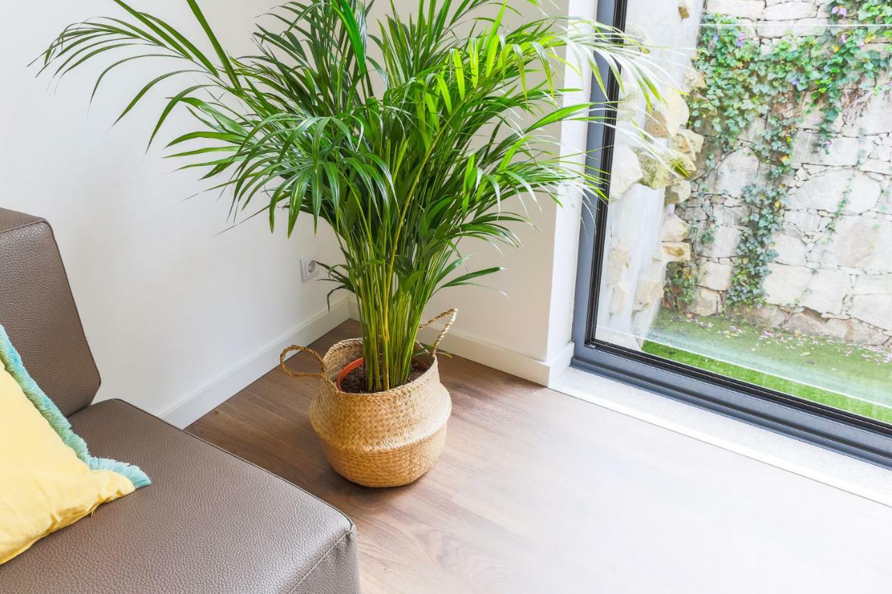 Samasal Trindade Apartament